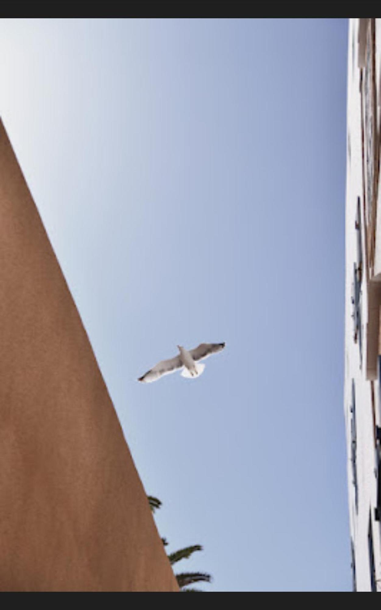 شقة Loft Incroyable En Medina الصويرة المظهر الخارجي الصورة